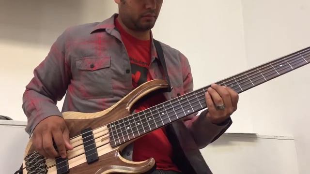 Ditto Looper 6 String Bass смотреть онлайн