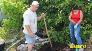 ✅Бурение бензобуром #vitals лунок. Посадка винограда под бур. doRABOTKA