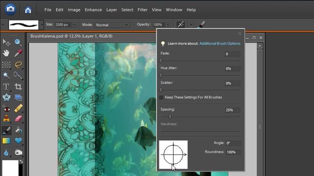 Using Brushes to Erase with Photoshop Elements 6.0 смотреть онлайн