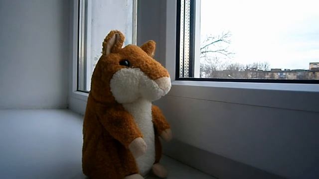 Хомяк-повторюшка, или что подарить ребенку. Gifts for baby funny hamster смотреть онлайн
