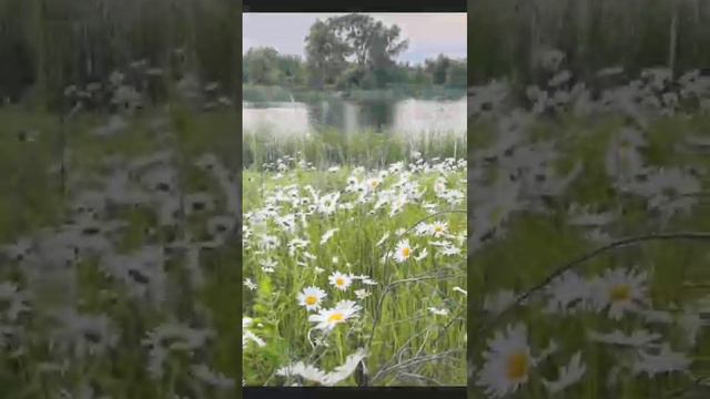 Сайын барахсан смотреть онлайн