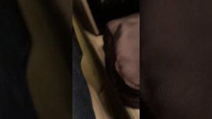 Mercedes мл 164 ml 164 лампочки освещения номерного знака !