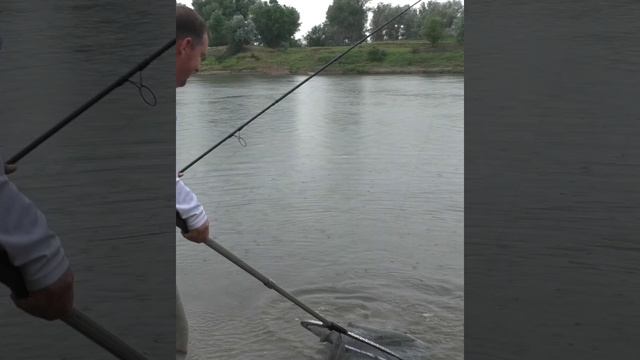 InShot_20230727_195325261.mp4 смотреть онлайн