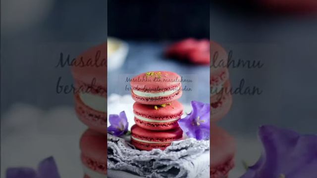 Stanza смотреть онлайн