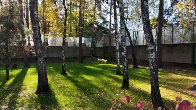 Ильинское-Усово смотреть онлайн