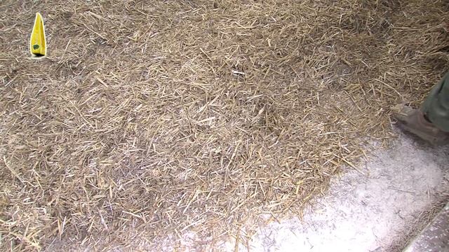 Mistral – осушитель подстилки для телят – применение перед отелом смотреть онлайн