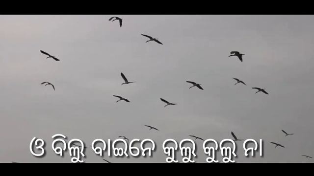 Ese sanjamane mandi Dina kui song смотреть онлайн