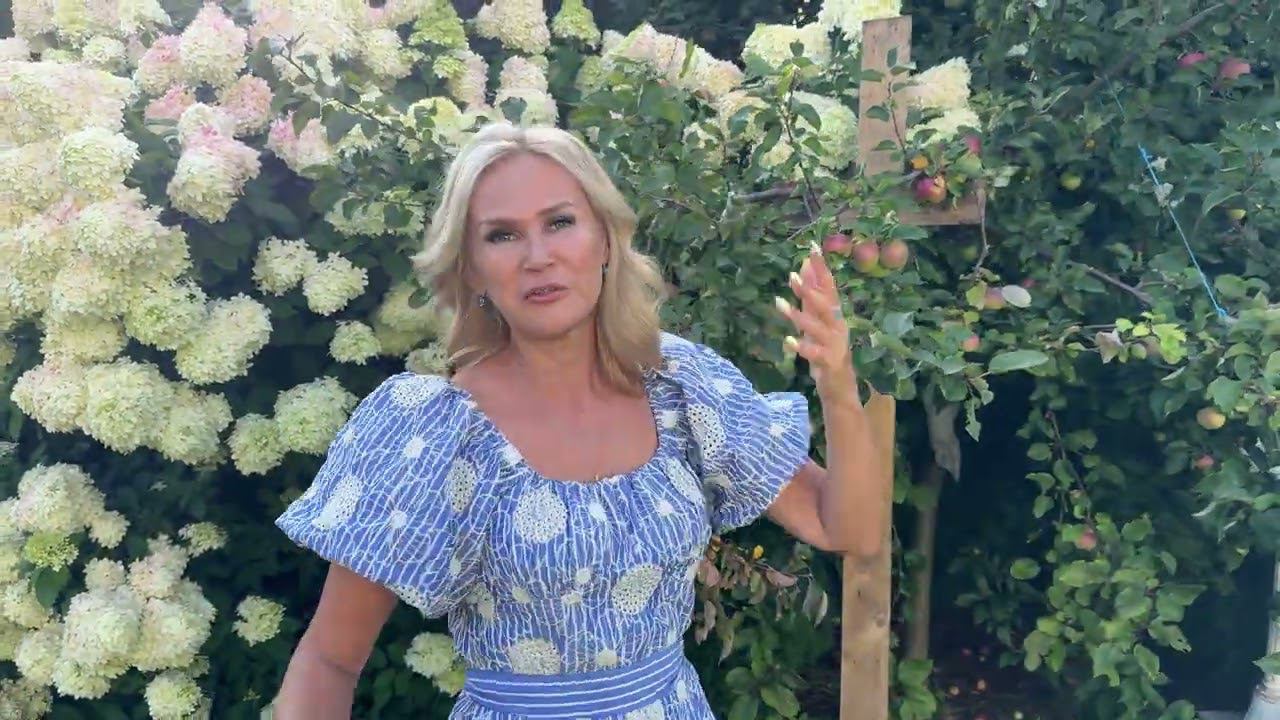 Говорят, Ютуб не будет работать в России ... смотреть онлайн