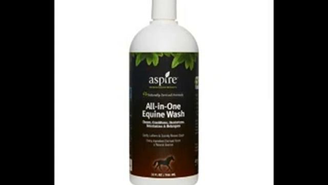 Aspire All-in-One Equine Wash Product Review смотреть онлайн