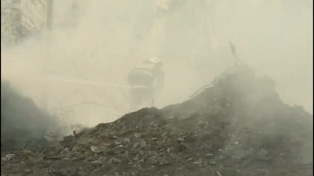Локализация лесных пожаров смотреть онлайн