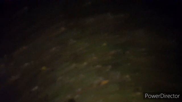 Ужин из двух Ш.Необычный рецепт на деревенской кухне|Арабская яичница на сковороде|Шакшука рулит| смотреть онлайн