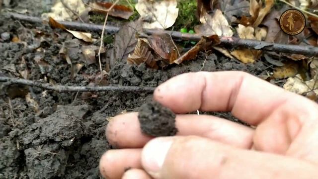 ДЕНАРІЇ, ЛУННИЦЯ,КОЗАЦЬКА СОКИРА ТА ЧУДОВІ ЗНАХІДКИ - У ПОШУКАХ ВТРАЧЕНОГО МИНУЛОГО смотреть онлайн
