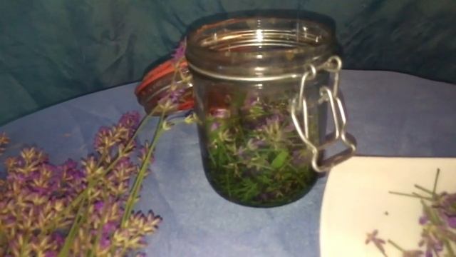 ? Лаванда. Как сделать масло.???? смотреть онлайн