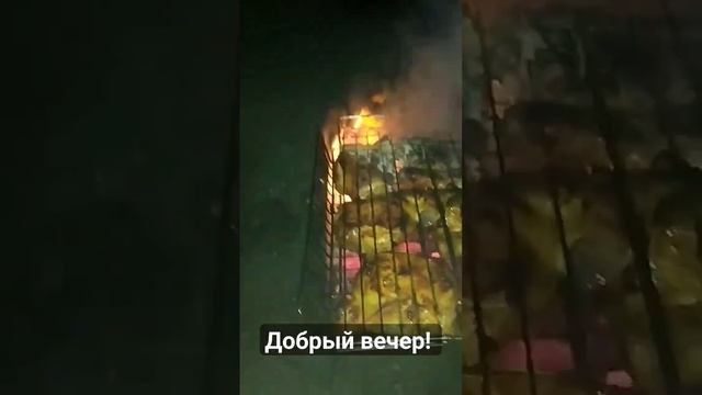 Вечерняя скумбрия с дымком #verguntv #скумбрия #готовимдома #мангал #вкусно #добрыйвечер смотреть онлайн