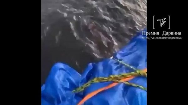 Премия Дарвина | Darwin Awards №1