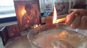 Чистим домашних животных ??‼️?