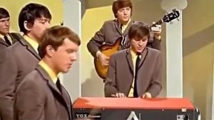 The Animals - The House of The Rising Sun (64 год) перевод.