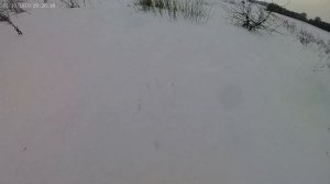 МР 155 тест насадок 0,5 и 0,75 на осыпь дробь 0000