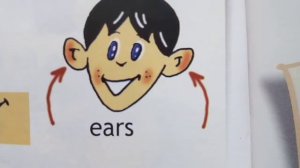 Spotlight - 2. Unit 11a, 12a.