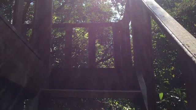 Камбоджа смотреть онлайн