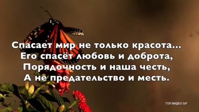 Леся Бондаренко - красота, доброта, и любовь смотреть онлайн