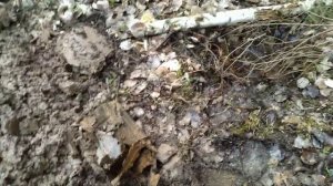 Волховский фронт 1 часть