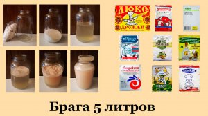 Брага 5 литров.