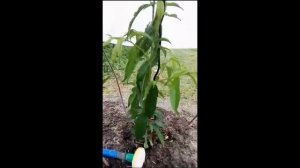 Ученик Железова В.К .-  Макаров А.И. Особый опыт.