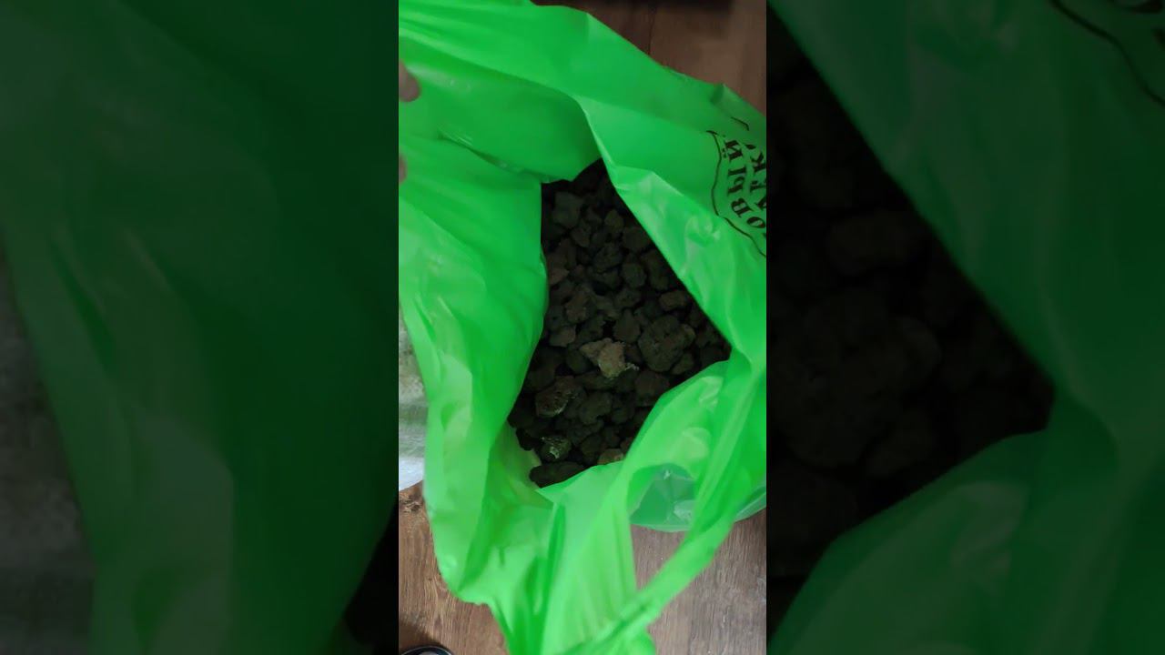 Начало положено, сампы на нерестовики-вырастники смотреть онлайн