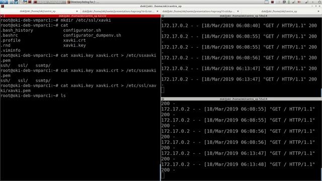 HAPROXY - 16. SSL : mode terminaison TLS смотреть онлайн