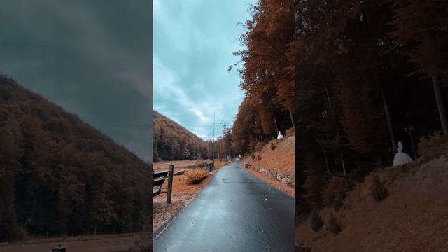 After the Rain: Scenic Mountain Road Beauty in 4K 🌦️🏞️ смотреть онлайн