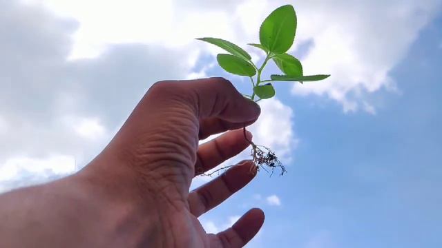 Le succès n'est pas final, l'échec n'est pas fatal. C'est le courage de continuer qui compte. смотреть онлайн