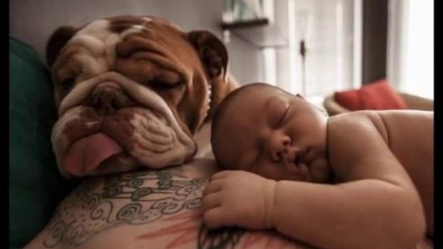 Медитация успеха Шевченко Тарас Сергеевич смотреть онлайн