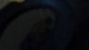 Как пожарить белые грибы замороженные на зиму 26 июля 2017 Сибирь