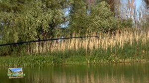 Ловля сома в низовьях Волги, База "Райтель". июль 2015 г.