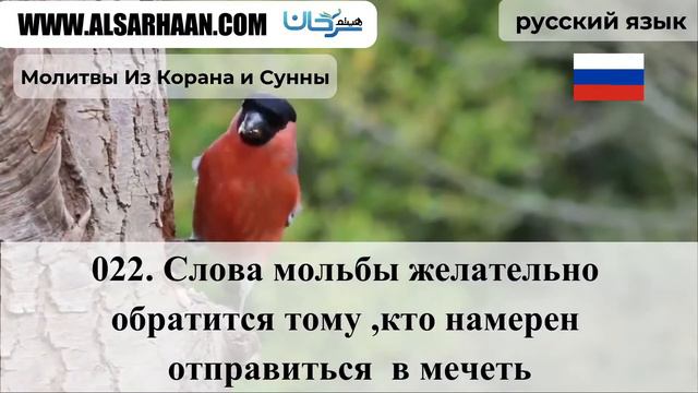 021 022 Слова мольбы желательно обратится том смотреть онлайн