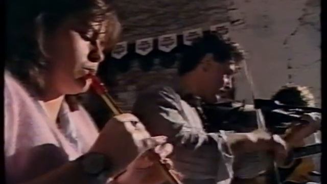 Cathal Hayden / Donna Hurson / Sandy Miller - Irish Reels