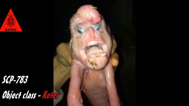 SCP-783 "Избушка Бабы-Яги". смотреть онлайн