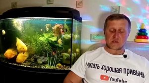 Кир Булычёв. Путешествие Алисы 4