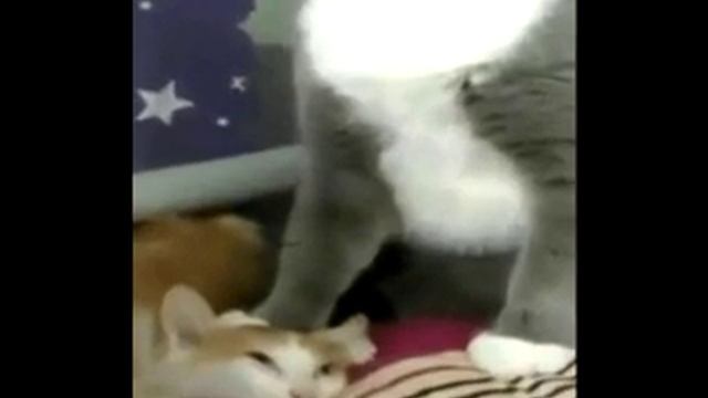 наш девиз по жизни смотреть онлайн