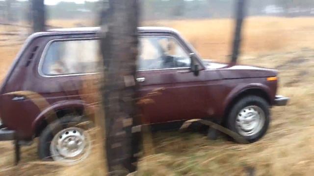 НИВА! Работа в лесу. Трелёвка леса Нивой. Кто сказал, что нива хреновая машина?!) смотреть онлайн