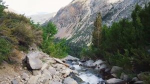 Лечебная музыка для сердца и сосудов расслабляющая музыка !