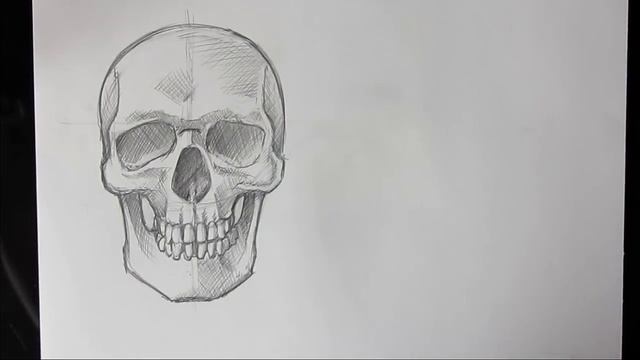How to Draw Human Skull Front/Profile | Human Anatomy смотреть онлайн