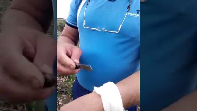 обвязка окулировки стрейч пленкой смотреть онлайн