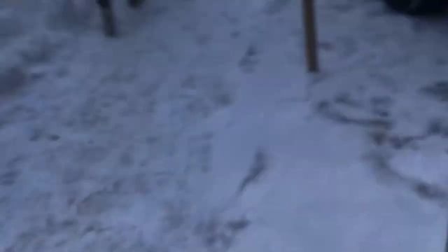 СОБРАЛИ САМОКАТ ИЗ ГОВНА И ПАЛОК ХА смотреть онлайн