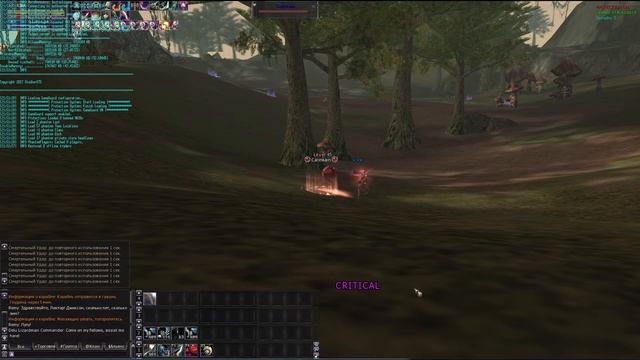 ? ТЕСТ УНИКАЛЬНЫХ СБОРОК LINEAGE 2 ? смотреть онлайн