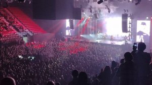 Звери в Череповце 13.05.2023
