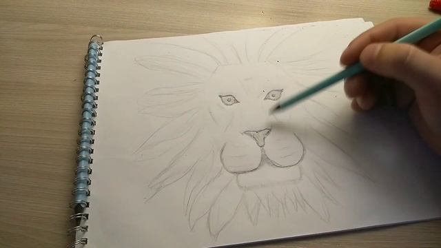 Рисуем Льва/we draw a lion смотреть онлайн