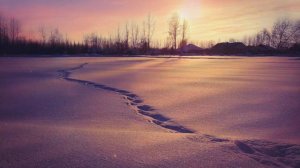 Joe Dassin - Et si tu n'existais pas 2024 | Trending Music 2024 | REMIX by XonSaroy Prod