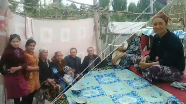 Oq Kabutar Elmurod.Dilmurod Abdurazzokov Sheri